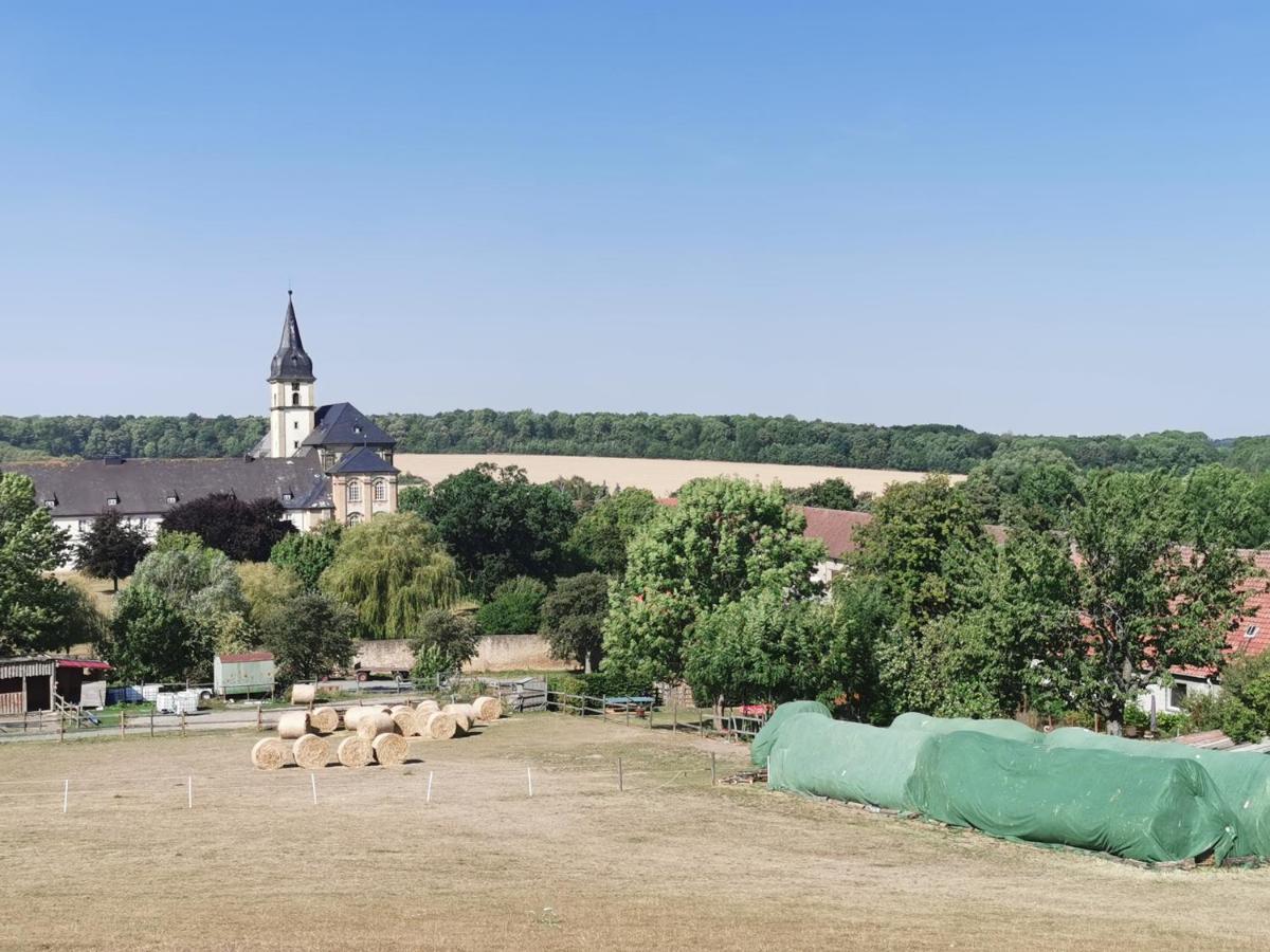 Ferienwohnung Alpakahof Goslar Zewnętrze zdjęcie